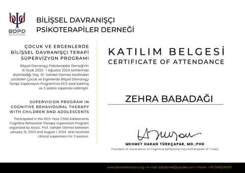 Çocuk ve Ergenlerde BDT Süpervizyon Programı (66,5 saat)